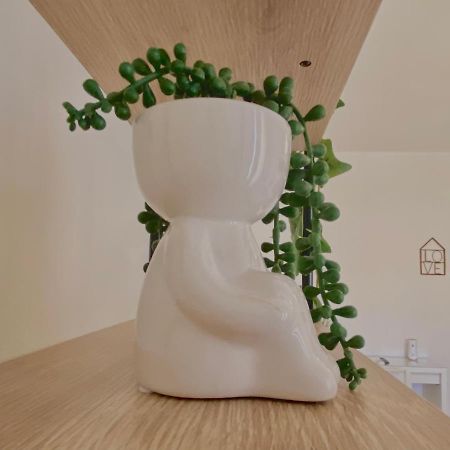 Guest House Service - Express Airport Apartment 모두가노 외부 사진